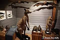 VBS_0948 - Riapre il Museo di Scienze Naturali dopo dieci anni di chiusura